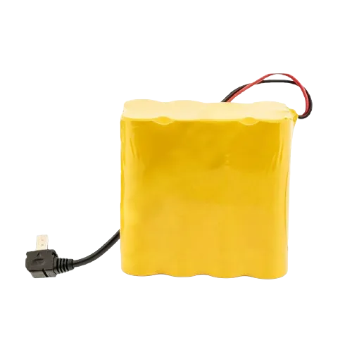 Battery Pack for Fleet Management System