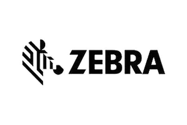 11 Zebra